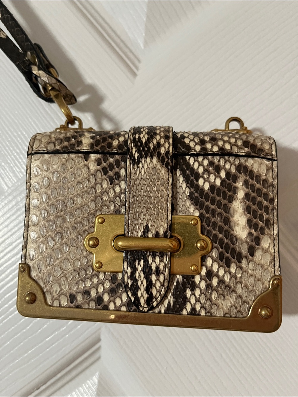 Prada Snake-Embossed Box Wristlet or Mini Crossbody Bag with Gold Hardware